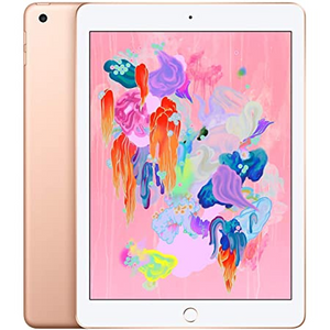 iPad Pro9.7 256GB - タブレット